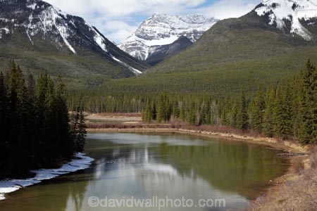 AB;Alberta;Albertas-Rockies;backwater;backwaters;Banff;Banff-N.P.;Banff-National-Park;Banff-NP;Bow-River;Canada;Canadian;Canadian-Cordillera;Canadian-Rockies;Canadian-Rocky-Mountain-Parks;Canadian-Rocky-Mountain-Parks-World-Heritage-Site;Mount-Brett;Mt-Brett;Mt.-Brett;North-America;North-American-Cordillera;North-American-Rocky-Mountains-Range;oxbow;Oxbow-bend-backwater;oxbow-river;oxbow-rivers;oxbows;Rocky-Mountains;Rocky-Mountains-Range;Sawback;UN-world-heritage-area;UN-world-heritage-site;UNESCO-World-Heritage-area;UNESCO-World-Heritage-Site;united-nations-world-heritage-area;united-nations-world-heritage-site;Western-Canada;Western-Cordillera;world-heritage;world-heritage-area;world-heritage-areas;World-Heritage-Park;World-Heritage-site;World-Heritage-Sites