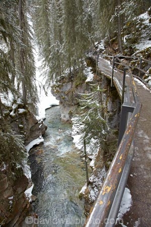AB;Alberta;Albertas-Rockies;Banff-N.P.;Banff-National-Park;Banff-NP;Canada;Canadian;Canadian-Cordillera;Canadian-Rockies;Canadian-Rocky-Mountain-Parks;Canadian-Rocky-Mountain-Parks-World-Heritage-Site;cantilevered;canyon;canyons;cold;eroded;erosion;freeze;freezing;gorge;gorges;hike;hiker;hikers;hiking;hiking-track;hiking-tracks;icy-track;Johnston-Canyon;Johnston-Canyon-track;Johnston-Creek;North-America;North-American-Cordillera;North-American-Rocky-Mountains-Range;pathway;ravine;ravines;Rocky-Mountains;Rocky-Mountains-Range;season;seasonal;seasons;slot-canyon;slot-canyons;snow;snowy;tramp;tramper;trampers;tramping;tramping-tack;tramping-tracks;trek;treker;trekers;treking;trekker;trekkers;trekking;UN-world-heritage-area;UN-world-heritage-site;UNESCO-World-Heritage-area;UNESCO-World-Heritage-Site;united-nations-world-heritage-area;united-nations-world-heritage-site;walk;walker;walkers;walking;walking-track;walking-tracks;Western-Canada;Western-Cordillera;white;winter;wintery;world-heritage;world-heritage-area;world-heritage-areas;World-Heritage-Park;World-Heritage-site;World-Heritage-Sites