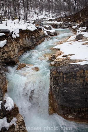 British-Columbia;British-Columbian-Rockies;Canada;Canadian;Canadian-Cordillera;Canadian-Rockies;Canadian-Rocky-Mountain-Parks;Canadian-Rocky-Mountain-Parks-World-Heritage-Site;canyon;canyons;cascade;cascades;cold;creek;creeks;eroded;erosion;falls;freeze;freezing;gorge;gorges;Kootenay-N.P.;Kootenay-National-Park;Kootenay-NP;la-Colombie_Britannique;Marble-Canyon;national-park;national-parks;natural;nature;North-America;North-American-Cordillera;North-American-Rocky-Mountains-Range;ravine;ravines;Rocky-Mountains;Rocky-Mountains-Range;scene;scenic;season;seasonal;seasons;slot-canyon;slot-canyons;snow;snowy;stream;streams;Tokumm-Creek;UN-world-heritage-area;UN-world-heritage-site;UNESCO-World-Heritage-area;UNESCO-World-Heritage-Site;united-nations-world-heritage-area;united-nations-world-heritage-site;water;water-fall;water-falls;waterfall;waterfalls;Western-Canada;Western-Cordillera;wet;white;winter;wintery;world-heritage;world-heritage-area;world-heritage-areas;World-Heritage-Park;World-Heritage-site;World-Heritage-Sites