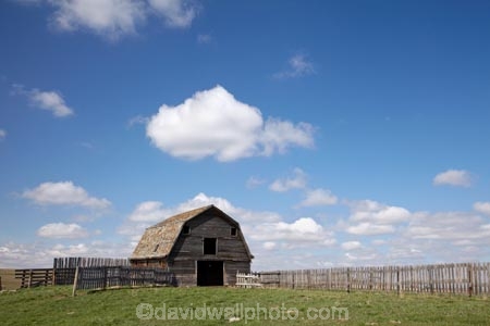 buildings;AB;agricultural;agriculture;Alberta;barn;barns;building;buildings;Canada;Canadian;country;countryside;farm;Farm-Building;Farm-Buildings;Farm-Shed;Farm-Sheds;farming;farmland;farms;fence;fence-line;fence-lines;fence_line;fence_lines;fenceline;fencelines;fences;field;fields;meadow;meadows;North-America;paddock;paddocks;pasture;pastures;plain;plains;praire;praires;prairie;prairies;rural;Western-Canada;wooden-barn;wooden-barns