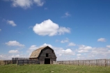 buildings;AB;agricultural;agriculture;Alberta;barn;barns;building;buildings;Canada;Canadian;country;countryside;farm;Farm-Building;Farm-Buildings;Farm-Shed;Farm-Sheds;farming;farmland;farms;fence;fence-line;fence-lines;fence_line;fence_lines;fenceline;fencelines;fences;field;fields;meadow;meadows;North-America;paddock;paddocks;pasture;pastures;plain;plains;praire;praires;prairie;prairies;rural;Western-Canada;wooden-barn;wooden-barns