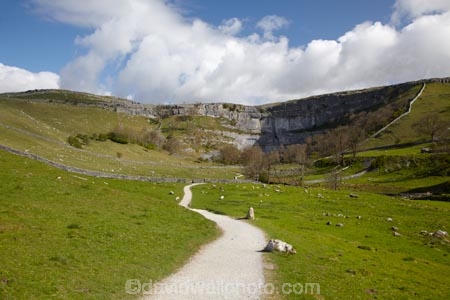 agricultural;agriculture;Britain;British-Isles;country;countryside;England;Europe;farm;farming;farmland;farms;field;fields;G.B.;GB;Great-Britain;hiking-track;hiking-tracks;Malham;Malham-Cove;Malham-Village;meadow;meadows;National-Trail;North-Yorkshire;Northern-England;paddock;paddocks;pasture;pastures;rural;The-Pennine-Way;U.K.;UK;United-Kingdom;walking-track;walking-tracks;Yorkshire;Yorkshire-Dales;Yorkshire-Dales-National-Park