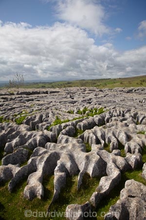 Britain;British-Isles;England;Europe;formation;formations;G.B.;GB;geological;geological-formation;geological-formations;geology;Great-Britain;Limestone;limestone-formation;limestone-formations;Limestone-Pavement;Malham;Malham-Cove;natural;natural-landscape;natural-landscapes;natural-limestone-formation;North-Yorkshire;Northern-England;pattern;patterns;rock;rock-formation;rock-formations;rocks;stone;U.K.;UK;United-Kingdom;unusual-natural-feature;unusual-natural-features;Yorkshire;Yorkshire-Dales;Yorkshire-Dales-National-Park