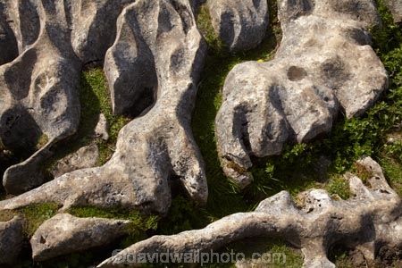 Britain;British-Isles;England;Europe;formation;formations;G.B.;GB;geological;geological-formation;geological-formations;geology;Great-Britain;Limestone;limestone-formation;limestone-formations;Limestone-Pavement;Malham;Malham-Cove;natural;natural-landscape;natural-landscapes;natural-limestone-formation;North-Yorkshire;Northern-England;pattern;patterns;rock;rock-formation;rock-formations;rocks;stone;U.K.;UK;United-Kingdom;unusual-natural-feature;unusual-natural-features;Yorkshire;Yorkshire-Dales;Yorkshire-Dales-National-Park