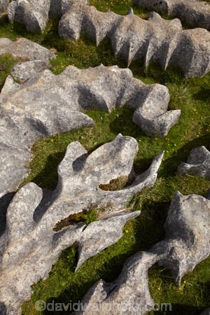 Britain;British-Isles;England;Europe;formation;formations;G.B.;GB;geological;geological-formation;geological-formations;geology;Great-Britain;Limestone;limestone-formation;limestone-formations;Limestone-Pavement;Malham;Malham-Cove;natural;natural-landscape;natural-landscapes;natural-limestone-formation;North-Yorkshire;Northern-England;pattern;patterns;rock;rock-formation;rock-formations;rocks;stone;U.K.;UK;United-Kingdom;unusual-natural-feature;unusual-natural-features;Yorkshire;Yorkshire-Dales;Yorkshire-Dales-National-Park