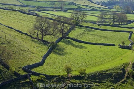 agricultural;agriculture;Britain;British-Isles;country;countryside;dry-stone-wall;dry-stone-walls;dry_stone-wall;dry_stone-walls;drystone-wall;drystone-walls;England;English-countryside;Europe;farm;farming;farmland;farms;fence;fence-line;fence-lines;fence_line;fence_lines;fenceline;fencelines;fences;field;fields;G.B.;GB;grass;Great-Britain;green;heritage;historic;livestock;Malham;meadow;meadows;North-Yorkshire;Northern-England;paddock;paddocks;pasture;pastures;rock-wall;rock-walls;rural;sheep;stock;stone-fence;stone-fences;stone-wall;stone-walling;stone-wallings;stone-walls;tradition;traditional;tree;trees;U.K.;UK;United-Kingdom;Yorkshire;Yorkshire-countryside;Yorkshire-Dales;Yorkshire-Dales-National-Park;Yorkshire-Farm;Yorkshire-Farmland;Yorkshire-Farmlands;Yorkshire-Farms