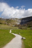 agricultural;agriculture;Britain;British-Isles;country;countryside;England;Europe;farm;farming;farmland;farms;field;fields;G.B.;GB;Great-Britain;hiking-track;hiking-tracks;Malham;Malham-Cove;Malham-Village;meadow;meadows;National-Trail;North-Yorkshire;Northern-England;paddock;paddocks;pasture;pastures;rural;The-Pennine-Way;U.K.;UK;United-Kingdom;walking-track;walking-tracks;Yorkshire;Yorkshire-Dales;Yorkshire-Dales-National-Park