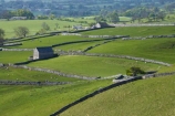 agricultural;agriculture;Britain;British-Isles;country;countryside;dry-stone-wall;dry-stone-walls;dry_stone-wall;dry_stone-walls;drystone-wall;drystone-walls;England;English-countryside;Europe;farm;Farm-Building;Farm-Buildings;Farm-Shed;Farm-Sheds;farming;farmland;farms;fence;fence-line;fence-lines;fence_line;fence_lines;fenceline;fencelines;fences;field;fields;G.B.;GB;grass;Great-Britain;green;heritage;historic;livestock;Malham;meadow;meadows;North-Yorkshire;Northern-England;paddock;paddocks;pasture;pastures;rock-wall;rock-walls;rural;Shearing-Shed;Shearing-Sheds;sheep;Sheep-Shed;Sheep-Sheds;stock;stone-building;stone-buildings;stone-farm-building;stone-farm-buildings;stone-fence;stone-fences;stone-wall;stone-walling;stone-wallings;stone-walls;tradition;traditional;U.K.;UK;United-Kingdom;Wool-Shed;Wool-Sheds;woolshed;woolsheds;Yorkshire;Yorkshire-countryside;Yorkshire-Dales;Yorkshire-Dales-National-Park;Yorkshire-Farm;Yorkshire-Farmland;Yorkshire-Farmlands;Yorkshire-Farms