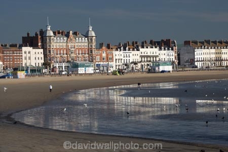 apartment;apartments;beach;beaches;britain;coast;coastal;coastline;dorset;Engl;england;English-Channel-Coast;G.B.;GB;great-britain;holiday;holiday-accommodation;holidays;hotel;hotels;kingdom;o8l4869;resort;resorts;rows-of-hotels;sand;sandy;shore;shoreline;The-Esplanade;tourism;U.K.;uk;united;united-kingdom;vacation;vacations;weymouth;Weymouth-Bay