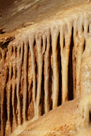 Britain;cave;cavern;caverns;cavers;caves;caving;Cheddar;Cheddar-Cave;Cheddar-Caves;Cheddar-show-cave;Cheddar-show-caves;England;explore;explorers;exploring;G.B.;GB;Goughs-Cave;Goughs-Cave;Great-Britain;grotto;grottos;Limesone-waterfall;Limesone-waterfall;limestone-cave;limestone-caves;limestone-formation;limestone-formations;limestone-rock-formation;limestone-rock-formations;Sedgemoor;show-cave;show-caves;Somerset;stalactite;stalactites;stalagmite;stalagmites;U.K.;UK;United-Kingdom
