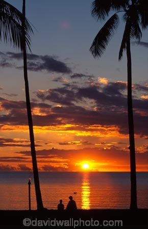 coconut-palm;coconut-palms;coconut-tree;coconut-trees;cocos-nucifera;heavenly;holiday;holidays;horizon;horizons;idyllic;island;islands;leisure;melanesia;outdoor;outdoors;outside;pacific;palm;palm-tree;palms;palm-trees;paradise;plant;plants;scenic;scenics;summer;summertime;travel;travels;tree;trees;tropical;vacation;vacations;vegetation;viti-levu;world-locations;world-travel;relax;relaxing;serene;peaceful;quiet;restful;rest;calm;tranquil;still;calmness;relaxation;silence;sunset;sunsets;dusk;sky;orange;serene;relax;relaxation