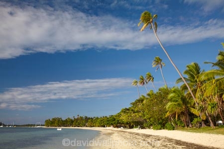 beach;beaches;beachfront-bure;beachfront-bures;bure;bures;coast;coastal;coastline;coastlines;coasts;Fij;Fiji;Fiji-Islands;foreshore;holiday;holiday-resort;holiday-resorts;holidays;Malolo-Lailai-Is;Malolo-Lailai-Island;Malololailai-Is;Malololailai-Island;Mamanuca-Group;Mamanuca-Is;Mamanuca-Island-Group;Mamanuca-Islands;Mamanucas;ocean;Pacific;Pacific-Island;Pacific-Islands;palm;palm-tree;palm-trees;palms;Plantation-Is;Plantation-Is-Resort;Plantation-Island;Plantation-Island-Resort;resort;resort-hotel;resort-hotels;resorts;sand;sandy;sea;shore;shoreline;shorelines;shores;South-Pacific;tropical-island;tropical-islands;vacation;vacations;water;waterfront-bure;waterfront-bures