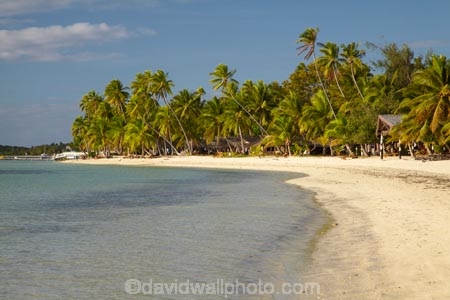 beach;beaches;beachfront-bure;beachfront-bures;bure;bures;coast;coastal;coastline;coastlines;coasts;Fij;Fiji;Fiji-Islands;foreshore;holiday;holiday-resort;holiday-resorts;holidays;Malolo-Lailai-Is;Malolo-Lailai-Island;Malololailai-Is;Malololailai-Island;Mamanuca-Group;Mamanuca-Is;Mamanuca-Island-Group;Mamanuca-Islands;Mamanucas;ocean;Pacific;Pacific-Island;Pacific-Islands;palm;palm-tree;palm-trees;palms;Plantation-Is;Plantation-Is-Resort;Plantation-Island;Plantation-Island-Resort;resort;resort-hotel;resort-hotels;resorts;sand;sandy;sea;shore;shoreline;shorelines;shores;South-Pacific;tropical-island;tropical-islands;vacation;vacations;water;waterfront-bure;waterfront-bures