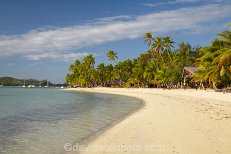 beach;beaches;beachfront-bure;beachfront-bures;bure;bures;coast;coastal;coastline;coastlines;coasts;Fij;Fiji;Fiji-Islands;foreshore;holiday;holiday-resort;holiday-resorts;holidays;Malolo-Lailai-Is;Malolo-Lailai-Island;Malololailai-Is;Malololailai-Island;Mamanuca-Group;Mamanuca-Is;Mamanuca-Island-Group;Mamanuca-Islands;Mamanucas;ocean;Pacific;Pacific-Island;Pacific-Islands;palm;palm-tree;palm-trees;palms;Plantation-Is;Plantation-Is-Resort;Plantation-Island;Plantation-Island-Resort;resort;resort-hotel;resort-hotels;resorts;sand;sandy;sea;shore;shoreline;shorelines;shores;South-Pacific;tropical-island;tropical-islands;vacation;vacations;water;waterfront-bure;waterfront-bures