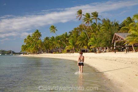 beach;beaches;beachfront-bure;beachfront-bures;bure;bures;coast;coastal;coastline;coastlines;coasts;female;Fij;Fiji;Fiji-Islands;foreshore;girl;girls;holiday;holiday-resort;holiday-resorts;holidays;Malolo-Lailai-Is;Malolo-Lailai-Island;Malololailai-Is;Malololailai-Island;Mamanuca-Group;Mamanuca-Is;Mamanuca-Island-Group;Mamanuca-Islands;Mamanucas;ocean;Pacific;Pacific-Island;Pacific-Islands;palm;palm-tree;palm-trees;palms;paradise;Plantation-Is;Plantation-Is-Resort;Plantation-Island;Plantation-Island-Resort;resort;resort-hotel;resort-hotels;resorts;sand;sandy;sea;shore;shoreline;shorelines;shores;South-Pacific;tropical-island;tropical-islands;vacation;vacations;water;waterfront-bure;waterfront-bures;woman;women