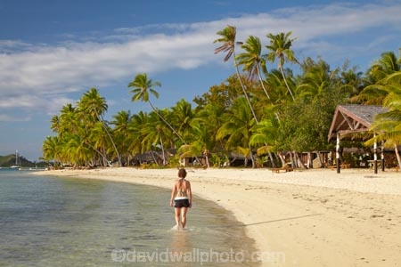 beach;beaches;beachfront-bure;beachfront-bures;bure;bures;coast;coastal;coastline;coastlines;coasts;female;Fij;Fiji;Fiji-Islands;foreshore;girl;girls;holiday;holiday-resort;holiday-resorts;holidays;Malolo-Lailai-Is;Malolo-Lailai-Island;Malololailai-Is;Malololailai-Island;Mamanuca-Group;Mamanuca-Is;Mamanuca-Island-Group;Mamanuca-Islands;Mamanucas;ocean;Pacific;Pacific-Island;Pacific-Islands;palm;palm-tree;palm-trees;palms;paradise;Plantation-Is;Plantation-Is-Resort;Plantation-Island;Plantation-Island-Resort;resort;resort-hotel;resort-hotels;resorts;sand;sandy;sea;shore;shoreline;shorelines;shores;South-Pacific;tropical-island;tropical-islands;vacation;vacations;water;waterfront-bure;waterfront-bures;woman;women