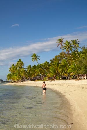 beach;beaches;beachfront-bure;beachfront-bures;bure;bures;coast;coastal;coastline;coastlines;coasts;female;Fij;Fiji;Fiji-Islands;foreshore;girl;girls;holiday;holiday-resort;holiday-resorts;holidays;Malolo-Lailai-Is;Malolo-Lailai-Island;Malololailai-Is;Malololailai-Island;Mamanuca-Group;Mamanuca-Is;Mamanuca-Island-Group;Mamanuca-Islands;Mamanucas;ocean;Pacific;Pacific-Island;Pacific-Islands;palm;palm-tree;palm-trees;palms;paradise;Plantation-Is;Plantation-Is-Resort;Plantation-Island;Plantation-Island-Resort;resort;resort-hotel;resort-hotels;resorts;sand;sandy;sea;shore;shoreline;shorelines;shores;South-Pacific;tropical-island;tropical-islands;vacation;vacations;water;waterfront-bure;waterfront-bures;woman;women