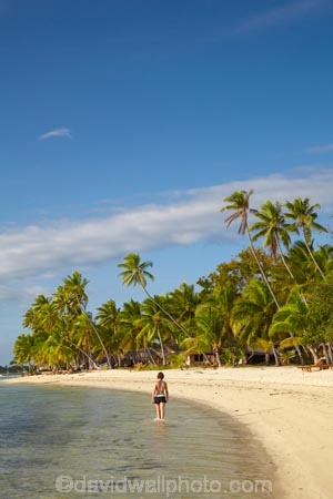 beach;beaches;beachfront-bure;beachfront-bures;bure;bures;coast;coastal;coastline;coastlines;coasts;female;Fij;Fiji;Fiji-Islands;foreshore;girl;girls;holiday;holiday-resort;holiday-resorts;holidays;Malolo-Lailai-Is;Malolo-Lailai-Island;Malololailai-Is;Malololailai-Island;Mamanuca-Group;Mamanuca-Is;Mamanuca-Island-Group;Mamanuca-Islands;Mamanucas;ocean;Pacific;Pacific-Island;Pacific-Islands;palm;palm-tree;palm-trees;palms;paradise;Plantation-Is;Plantation-Is-Resort;Plantation-Island;Plantation-Island-Resort;resort;resort-hotel;resort-hotels;resorts;sand;sandy;sea;shore;shoreline;shorelines;shores;South-Pacific;tropical-island;tropical-islands;vacation;vacations;water;waterfront-bure;waterfront-bures;woman;women