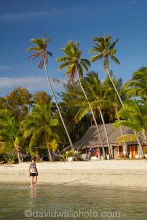 beach;beaches;beachfront-bure;beachfront-bures;bure;bures;coast;coastal;coastline;coastlines;coasts;female;Fij;Fiji;Fiji-Islands;foreshore;girl;girls;holiday;holiday-resort;holiday-resorts;holidays;Malolo-Lailai-Is;Malolo-Lailai-Island;Malololailai-Is;Malololailai-Island;Mamanuca-Group;Mamanuca-Is;Mamanuca-Island-Group;Mamanuca-Islands;Mamanucas;ocean;Pacific;Pacific-Island;Pacific-Islands;palm;palm-frond;palm-fronds;palm-tree;palm-trees;palms;paradise;Plantation-Is;Plantation-Is-Resort;Plantation-Island;Plantation-Island-Resort;resort;resort-hotel;resort-hotels;resorts;sand;sandy;sea;shore;shoreline;shorelines;shores;South-Pacific;tropical-island;tropical-islands;vacation;vacations;water;waterfront-bure;waterfront-bures;woman;women