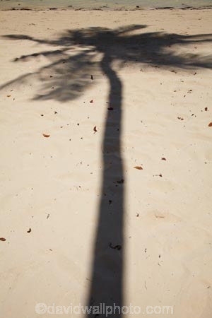 beach;beaches;coast;coastal;coastline;coastlines;coasts;Fij;Fiji;Fiji-Islands;foreshore;holiday;holiday-resort;holiday-resorts;holidays;Malolo-Lailai-Is;Malolo-Lailai-Island;Malololailai-Is;Malololailai-Island;Mamanuca-Group;Mamanuca-Is;Mamanuca-Island-Group;Mamanuca-Islands;Mamanucas;ocean;Pacific;Pacific-Island;Pacific-Islands;palm;palm-frond;palm-fronds;palm-shadow;palm-tree;palm-tree-shadow;palm-trees;palms;paradise;Plantation-Is;Plantation-Is-Resort;Plantation-Island;Plantation-Island-Resort;resort;resort-hotel;resort-hotels;resorts;sand;sandy;sea;shadow;shadows;shore;shoreline;shorelines;shores;South-Pacific;tropical-island;tropical-islands;vacation;vacations;water