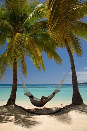 aqua;aquamarine;beach;beaches;blue;clean-water;clear-water;coast;coastal;coastline;coastlines;coasts;cobalt-blue;cobalt-ultramarine;cobaltultramarine;Fij;Fiji;Fiji-Islands;foreshore;hammock;hammocks;holiday;holiday-resort;holiday-resorts;holidays;leisure;Malolo-Lailai-Is;Malolo-Lailai-Island;Malololailai-Is;Malololailai-Island;Mamanuca-Group;Mamanuca-Is;Mamanuca-Island-Group;Mamanuca-Islands;Mamanucas;ocean;Pacific;Pacific-Island;Pacific-Islands;palm;palm-frond;palm-fronds;palm-tree;palm-trees;palms;paradise;Plantation-Is;Plantation-Is-Resort;Plantation-Island;Plantation-Island-Resort;relaxation;relaxing;resort;resort-hotel;resort-hotels;resorts;sand;sandy;sea;shore;shoreline;shorelines;shores;South-Pacific;teal-blue;tropical-island;tropical-islands;turquoise;vacation;vacations;water