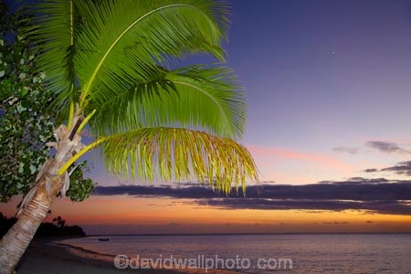 coast;coastal;coastline;coastlines;coasts;dusk;evening;Fij;Fiji;Fiji-Islands;foreshore;holiday;holiday-resort;holiday-resorts;holidays;Malolo-Lailai-Is;Malolo-Lailai-Island;Malololailai-Is;Malololailai-Island;Mamanuca-Group;Mamanuca-Is;Mamanuca-Island-Group;Mamanuca-Islands;Mamanucas;nightfall;ocean;orange;Pacific;Pacific-Island;Pacific-Islands;palm;palm-frond;palm-fronds;palm-tree;palm-trees;palms;Plantation-Is;Plantation-Is-Resort;Plantation-Island;Plantation-Island-Resort;resort;resort-hotel;resort-hotels;resorts;sea;shore;shoreline;shorelines;shores;sky;South-Pacific;sunset;sunsets;tropical-island;tropical-islands;twilight;vacation;vacations;water
