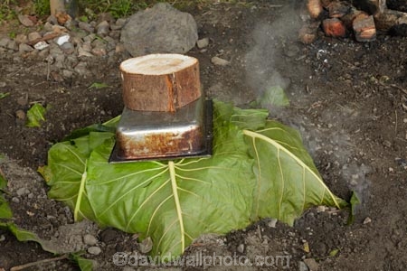 cooking;Coral-Coast;Crusoes-Resort;Crusoes-Retreat;Crusoes-Resort;Crusoes-Retreat;cuisine;Fij;Fiji-Islands;food;island;islands;Lovo;Pacific;South-Pacific;steam;traditional-Fijian-underground-oven;underground-oven;Viti-Levu;Viti-Levu-Is;Viti-Levu-Island
