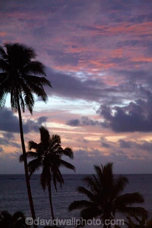 cloud;clouds;cloudy;coconut-palm;coconut-palm-tree;coconut-palm-trees;coconut-palms;Coral-Coast;Crusoes-Resort;Crusoes-Retreat;Crusoes-Resort;Crusoes-Retreat;dusk;evening;Fij;Fiji-Islands;holiday;holiday-resort;holiday-resorts;holidays;island;islands;nightfall;Pacific;palm;palm-tree;palm-trees;palms;pink;resort;resorts;sky;South-Pacific;sunset;sunsets;twilight;vacation;vacations;Viti-Levu;Viti-Levu-Is;Viti-Levu-Island