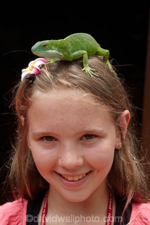 Brachylophus-fasciatus;child;children;Coral-Coast;Fij;Fiji-banded-iguana;Fiji-banded-iguanas;Fiji-iguana;Fiji-iguanas;Fiji-Islands;girl;girls;green-lizard;iguana;iguanas;Iguanidae;kid;kids;Korotogo;Kula-Eco-Park;Kula-Ecopark;lizard;lizards;Pacific;reptile;reptiles;saumuri;Sigatoka;South-Pacific;tourist-attraction;tourist-attractions;Viti-Levu;Viti-Levu-Island;vokai