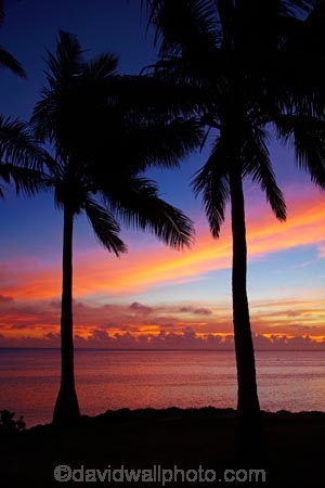 coast;coastal;coastline;coastlines;coasts;coconut-palm;coconut-palm-tree;coconut-palm-trees;coconut-palms;Coral-Coast;dusk;evening;Fij;Fiji-Islands;foreshore;Korotogo;nightfall;ocean;orange;Pacific;Pacific-Ocean;palm;palm-tree;palm-trees;palms;pink;sea;shore;shoreline;shorelines;shores;Sigatoka;silhouette;silhouettes;sky;South-Pacific;sunset;sunsets;tropical-island;tropical-islands;twilight;Viti-Levu;Viti-Levu-Island;water