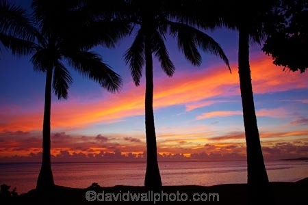 coast;coastal;coastline;coastlines;coasts;coconut-palm;coconut-palm-tree;coconut-palm-trees;coconut-palms;Coral-Coast;dusk;evening;Fij;Fiji-Islands;foreshore;Korotogo;nightfall;ocean;orange;Pacific;Pacific-Ocean;palm;palm-tree;palm-trees;palms;pink;sea;shore;shoreline;shorelines;shores;Sigatoka;silhouette;silhouettes;sky;South-Pacific;sunset;sunsets;tropical-island;tropical-islands;twilight;Viti-Levu;Viti-Levu-Island;water