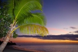 coast;coastal;coastline;coastlines;coasts;dusk;evening;Fij;Fiji;Fiji-Islands;foreshore;holiday;holiday-resort;holiday-resorts;holidays;Malolo-Lailai-Is;Malolo-Lailai-Island;Malololailai-Is;Malololailai-Island;Mamanuca-Group;Mamanuca-Is;Mamanuca-Island-Group;Mamanuca-Islands;Mamanucas;nightfall;ocean;orange;Pacific;Pacific-Island;Pacific-Islands;palm;palm-frond;palm-fronds;palm-tree;palm-trees;palms;Plantation-Is;Plantation-Is-Resort;Plantation-Island;Plantation-Island-Resort;resort;resort-hotel;resort-hotels;resorts;sea;shore;shoreline;shorelines;shores;sky;South-Pacific;sunset;sunsets;tropical-island;tropical-islands;twilight;vacation;vacations;water