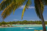 aqua;aquamarine;blue;boat;boats;clean-water;clear-water;coast;cobalt-blue;cobalt-ultramarine;cobaltultramarine;dinghies;dinghy;Fij;Fiji;Fiji-Islands;holiday;holiday-accommodation;holiday-resort;holiday-resorts;holidays;island;islands;lagoon;lagoons;Malolo-Lailai-Is;Malolo-Lailai-Island;Mamanuca-Group;Mamanuca-Is;Mamanuca-Island-Group;Mamanuca-Islands;Mamanucas;Musket-Cove-Island-Resort;Musket-Cove-Resort;Pacific;Pacific-Island;Pacific-Islands;palm;palm-tree;palm-trees;palms;Ratu-Nemani-Island;resort;resort-hotel;resort-hotels;resorts;South-Pacific;teal-blue;tropical-island;tropical-islands;turquoise;vacation;vacations