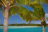 aqua;aquamarine;blue;clean-water;clear-water;coast;cobalt-blue;cobalt-ultramarine;cobaltultramarine;Fij;Fiji;Fiji-Islands;holiday;holiday-accommodation;holiday-resort;holiday-resorts;holidays;island;islands;lagoon;lagoons;Malolo-Lailai-Is;Malolo-Lailai-Island;Mamanuca-Group;Mamanuca-Is;Mamanuca-Island-Group;Mamanuca-Islands;Mamanucas;Musket-Cove-Island-Resort;Musket-Cove-Resort;Pacific;Pacific-Island;Pacific-Islands;palm;palm-frond;palm-fronds;palm-tree;palm-trees;palms;Ratu-Nemani-Island;resort;resort-hotel;resort-hotels;resorts;South-Pacific;teal-blue;tropical-island;tropical-islands;turquoise;vacation;vacations