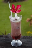 alcohol;alcoholic-drink;beverage;cocktail;cocktail-glass;cocktail-glasses;cocktails;Coral-Coast;Crusoes-Resort;Crusoes-Retreat;Crusoes-Resort;Crusoes-Retreat;drink;drinks;Fij;Fiji-Islands;glass;holiday;holiday-resort;holiday-resorts;holidays;ice-cream-float;ice_cream-float;icecream-float;island;islands;mocktail;mocktails;non_alcoholic-cocktail;non_alcoholic-cocktails;Pacific;rasberry-amp;-coke;rasberry-and-coke;resort;resorts;Roy-Rodgers-mocktail;South-Pacific;tropical-cocktail;tropical-cocktails;vacation;vacations;Viti-Levu;Viti-Levu-Is;Viti-Levu-Island