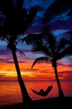 coast;coastal;coastline;coastlines;coasts;coconut-palm;coconut-palm-tree;coconut-palm-trees;coconut-palms;Coral-Coast;dusk;evening;female;Fij;Fiji-Islands;foreshore;hammock;hammocks;Korotogo;nightfall;ocean;orange;Pacific;Pacific-Ocean;palm;palm-tree;palm-trees;palms;sea;shore;shoreline;shorelines;shores;Sigatoka;silhouette;silhouettes;sky;South-Pacific;sunset;sunsets;tropical-island;tropical-islands;twilight;Viti-Levu;Viti-Levu-Island;water;woman;women