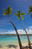 aqua;aquamarine;blue;clean-water;clear-water;coast;coastal;coastline;coastlines;cobalt-blue;cobalt-ultramarine;cobaltultramarine;coconut-palm;coconut-palm-tree;coconut-palm-trees;coconut-palms;coconut-tree;coconut-trees;cocos-nucifera;Coral-Coast;Cuvu-Harbour;Fij;Fiji;Fiji-Islands;Fijian-Resort-and-Spa;holiday;holiday-resort;holiday-resorts;holidays;idyllic;Pacific;Pacific-Island;Pacific-Islands;palm;palm-tree;palm-trees;palms;paradise;resort;resort-hotel;resort-hotels;resorts;sea;Shangri_La-Fijian-Resort;Shangri_La-Fijian-Resort-and-Spa;Shangri_La-Resort;Shangri_Las-Fijian-Resort;Shangri_Las-Fijian-Resort-and-Spa-Yanuca-Island;Shangri_Las-Resort;shore;shoreline;shorelines;shores;South-Pacific;teal-blue;tropical-island;tropical-islands;turquoise;vacation;vacations;Viti-Levu;Yanuca-Island