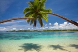 aqua;aquamarine;blue;clean-water;clear-water;coast;coastal;coastline;coastlines;cobalt-blue;cobalt-ultramarine;cobaltultramarine;coconut-palm;coconut-palm-tree;coconut-palm-trees;coconut-palms;coconut-tree;coconut-trees;cocos-nucifera;Coral-Coast;Cuvu-Harbour;Fij;Fiji;Fiji-Islands;Fijian-Resort-and-Spa;holiday;holiday-resort;holiday-resorts;holidays;idyllic;Pacific;Pacific-Island;Pacific-Islands;palm;palm-tree;palm-trees;palms;paradise;resort;resort-hotel;resort-hotels;resorts;sea;Shangri_La-Fijian-Resort;Shangri_La-Fijian-Resort-and-Spa;Shangri_La-Resort;Shangri_Las-Fijian-Resort;Shangri_Las-Fijian-Resort-and-Spa-Yanuca-Island;Shangri_Las-Resort;shore;shoreline;shorelines;shores;South-Pacific;teal-blue;tropical-island;tropical-islands;turquoise;vacation;vacations;Viti-Levu;Yanuca-Island