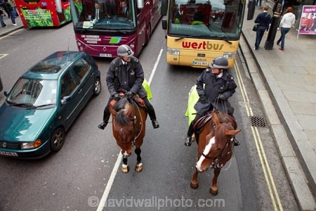6956;britain;brown-horse;brown-horses;chestnut-horse;chestnut-horses;england;equestrian;equine;Europe;G.B.;GB;great-britain;horse;horse-police;horse-riding;horses;kingdom;london;Metropolitan-Police;Mounted-Branch;mounted-police;pc;police;police-constable;policeman;policemen;policewoman;policewomen;street-scene;street-scenes;U.K.;uk;united;United-Kingdom;West-End;wpc