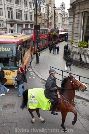 Britain;brown-horse;brown-horses;chestnut-horse;chestnut-horses;England;equestrian;equine;Europe;G.B.;GB;Great-Britain;horse;horse-police;horse-riding;horses;London;Metropolitan-Police;Monopoly-places;Mounted-Branch;mounted-police;pc;places-on-monopoly-board;police;police-constable;policewoman;policewomen;street-scene;street-scenes;U.K.;UK;United-Kingdom;wpc