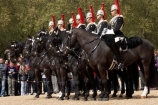 armour;armoured;Blues-and-Royals;Blues-and-Royals-Regiment;Britain;British-Army.;British-Household-Cavalry;cavalry;cavalry-regiment;ceremonial;Changing-of-the-Guards;Changing-of-the-Horse-Guards;England;equestrian;equine;Europe;G.B.;GB;Great-Britain;helmet;helmets;horse;Horse-Guard;Horse-Guards;Horse-Guards-Parade;horse-riding;horses;Household-Cavalry;Household-Cavalry-Mounted-Regiment;London;mounted-soldier;mounted-soldiers;Queens-Life-Guard;Queens-Life-Guards;row;rows;Royal-Horse-Guards;Royal-Horse-Guards-and-1st-Dragoons;The-Household-Cavalry-Mounted-Regiment;tradition;traditional;U.K.;UK;uniform;uniforms;United-Kingdom