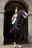 6608;armour;armoured;britain;British-Army.;British-Household-Cavalry;cavalry;cavalry-regiment;ceremonial;Changing-of-the-Guards;Changing-of-the-Horse-Guards;Cuirass;Cuirassier;england;equestrian;equine;Europe;G.B.;GB;great-britain;helmet;helmets;horse;Horse-Guard;Horse-Guards;horse-riding;horses;Household-Cavalry;Household-Cavalry-Mounted-Regiment;kingdom;Life-Guards-Regiment;london;mounted-soldier;mounted-soldiers;Queens-Life-Guard;Queens-Life-Guards;The-Household-Cavalry-Mounted-Regiment;tradition;traditional;U.K.;uk;uniform;uniforms;united;United-Kingdom;Whitehall