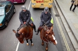 Britain;brown-horse;brown-horses;chestnut-horse;chestnut-horses;England;equestrian;equine;Europe;G.B.;GB;Great-Britain;horse;horse-police;horse-riding;horses;London;Metropolitan-Police;Mounted-Branch;mounted-police;pc;police;police-constable;policeman;policemen;policewoman;policewomen;street-scene;street-scenes;U.K.;UK;United-Kingdom;wpc