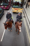 6961;britain;brown-horse;brown-horses;chestnut-horse;chestnut-horses;england;equestrian;equine;Europe;G.B.;GB;great-britain;horse;horse-police;horse-riding;horses;kingdom;london;Metropolitan-Police;Mounted-Branch;mounted-police;pc;police;police-constable;policeman;policemen;policewoman;policewomen;street-scene;street-scenes;U.K.;uk;united;United-Kingdom;wpc
