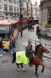 Britain;brown-horse;brown-horses;chestnut-horse;chestnut-horses;England;equestrian;equine;Europe;G.B.;GB;Great-Britain;horse;horse-police;horse-riding;horses;London;Metropolitan-Police;Monopoly-places;Mounted-Branch;mounted-police;pc;places-on-monopoly-board;police;police-constable;policewoman;policewomen;street-scene;street-scenes;U.K.;UK;United-Kingdom;wpc