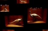 4558;britain;Cromwell-Rd;Cromwell-Road;Dinosaur;dinosaur-display;dinosaur-displays;dinosaur-exhibit;dinosaur-exhibits;Dinosaur-model;Dinosaur-models;Dinosaurs;england;Europe;G.B.;GB;great-britain;kingdom;london;model;models;museum;museums;Natural-History-Museum;SW7;T.-Rex-display;T.Rex-display;The-Natural-History-Museum;Tyrannosaurus-model;Tyrannosaurus-rex-model;U.K.;uk;united;United-Kingdom