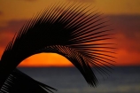 Aorangi;Aorangi-District;cloud;clouds;Cook-Is;Cook-Islands;dusk;evening;frond;fronds;night;night_time;nightfall;ocean;oceans;orange;Pacific;Pacific-Ocean;palm;palm-frond;palm-fronds;palm-tree;palm-trees;palms;Rarotonga;sea;South-Pacific;sunset;sunsets;tropical;tropical-island;tropical-islands;tropical-palm-tree;twilight;water