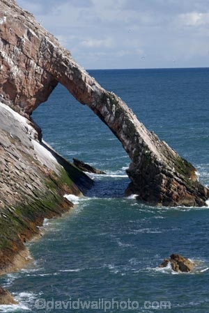 Banffshire;Bow-Fiddle-Rock;Britain;British-Isles;coast;coastal;coastline;coastlines;coasts;foreshore;G.B.;GB;geological;geology;Great-Britain;island;islands;large-sea-arch;Moray;Moray-Firth;natural-arch;natural-arches;natural-bridge;natural-bridges;natural-geological-formation;natural-geological-formations;North-Sea;northeast-Scotland;ocean;Portknockie;quartzite-rock;rock;rock-arch;rock-arches;rock-formation;rock-formations;rock-outcrop;rock-outcrops;rock-tor;rock-torr;rock-torrs;rock-tors;rocks;rocky;Scotland;sea;sea-arch;sea-arches;shore;shoreline;shorelines;shores;stone;U.K.;UK;United-Kingdom;unusual-natural-feature;unusual-natural-features;unusual-natural-formation;unusual-natural-formations;water