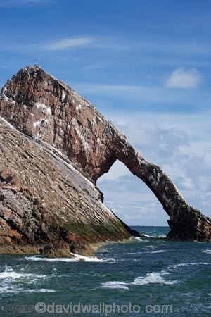 Banffshire;Bow-Fiddle-Rock;Britain;British-Isles;coast;coastal;coastline;coastlines;coasts;foreshore;G.B.;GB;geological;geology;Great-Britain;island;islands;large-sea-arch;Moray;Moray-Firth;natural-arch;natural-arches;natural-bridge;natural-bridges;natural-geological-formation;natural-geological-formations;North-Sea;northeast-Scotland;ocean;Portknockie;quartzite-rock;rock;rock-arch;rock-arches;rock-formation;rock-formations;rock-outcrop;rock-outcrops;rock-tor;rock-torr;rock-torrs;rock-tors;rocks;rocky;Scotland;sea;sea-arch;sea-arches;shore;shoreline;shorelines;shores;stone;U.K.;UK;United-Kingdom;unusual-natural-feature;unusual-natural-features;unusual-natural-formation;unusual-natural-formations;water