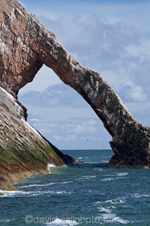Banffshire;Bow-Fiddle-Rock;Britain;British-Isles;coast;coastal;coastline;coastlines;coasts;foreshore;G.B.;GB;geological;geology;Great-Britain;island;islands;large-sea-arch;Moray;Moray-Firth;natural-arch;natural-arches;natural-bridge;natural-bridges;natural-geological-formation;natural-geological-formations;North-Sea;northeast-Scotland;ocean;Portknockie;quartzite-rock;rock;rock-arch;rock-arches;rock-formation;rock-formations;rock-outcrop;rock-outcrops;rock-tor;rock-torr;rock-torrs;rock-tors;rocks;rocky;Scotland;sea;sea-arch;sea-arches;shore;shoreline;shorelines;shores;stone;U.K.;UK;United-Kingdom;unusual-natural-feature;unusual-natural-features;unusual-natural-formation;unusual-natural-formations;water